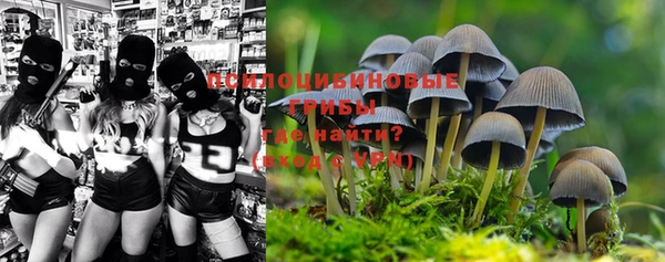 ECSTASY Надым