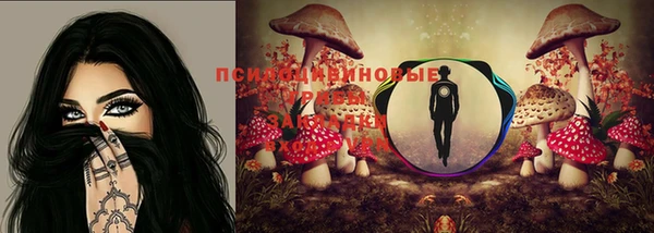 ECSTASY Надым