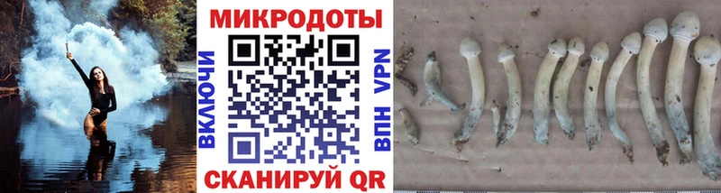 Галлюциногенные грибы MAGIC MUSHROOMS купить наркоту Таруса
